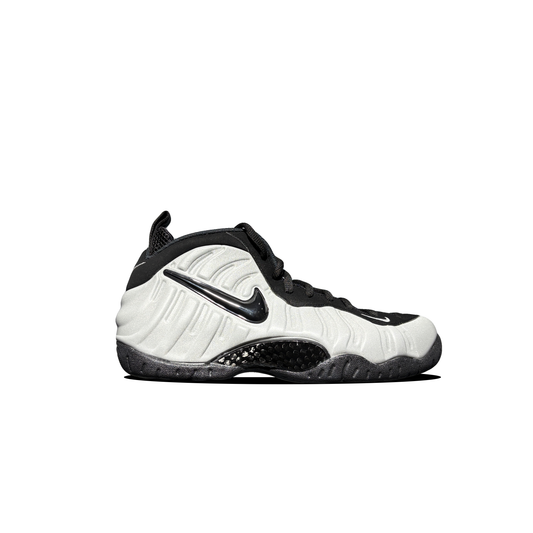 Foamposite Wolf Grey